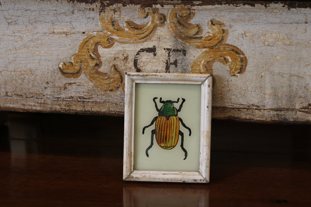 Vintage Reverse Glass Petite  Beetle in a Cream Reeded Frame