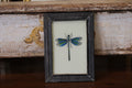 Vintage Reverse Glass Blue Dragonfly in a Grey Reeded Frame