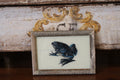Vintage Reverse Glass Blue Frog