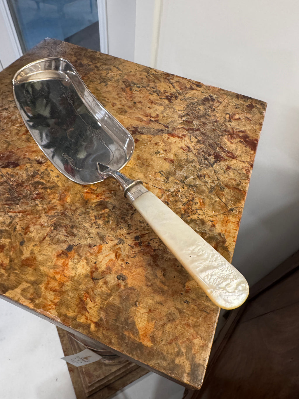 Vintage Mother of Pearl Handled Silver Crumb Scoop