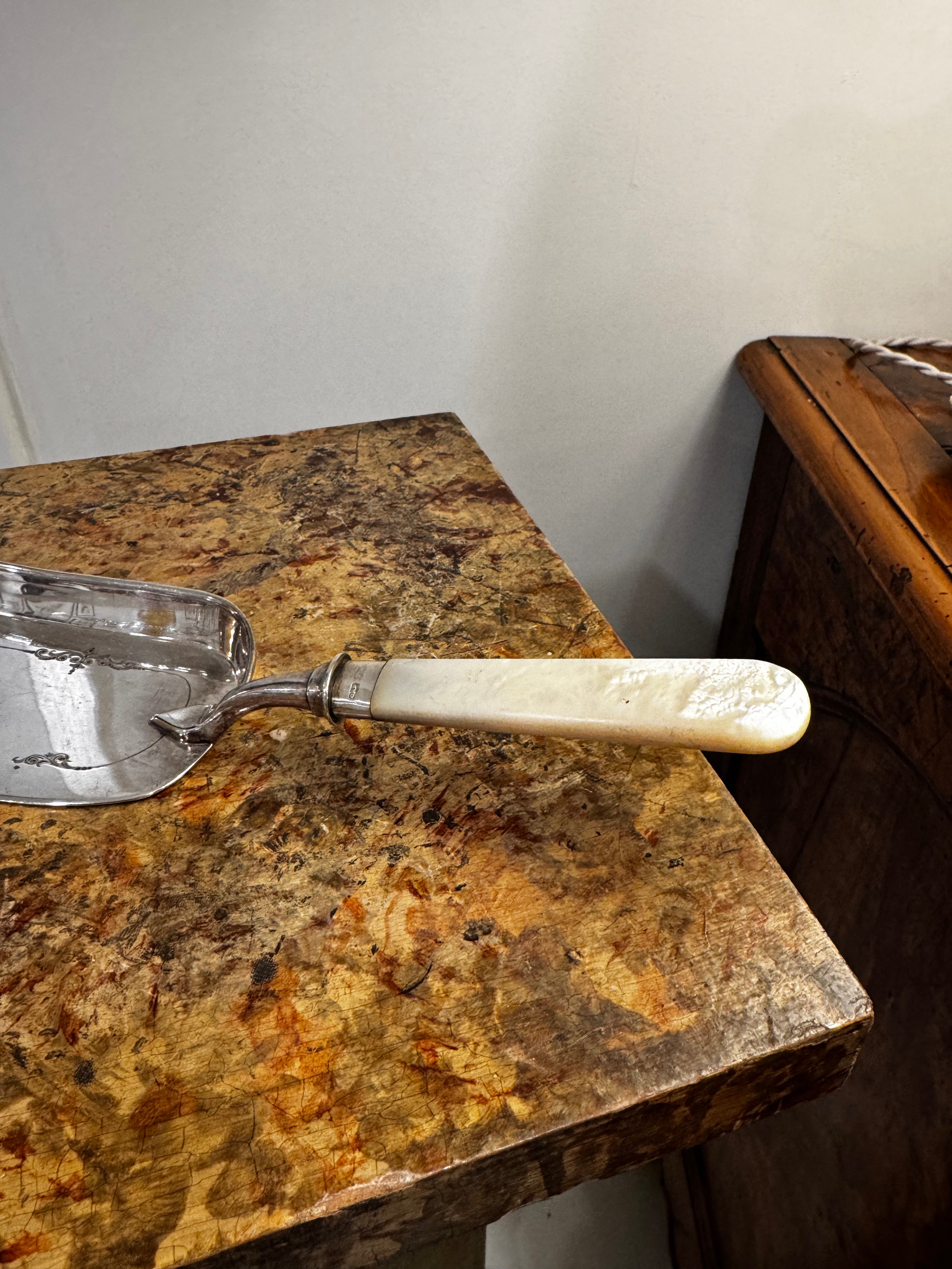 Vintage Mother of Pearl Handled Silver Crumb Scoop